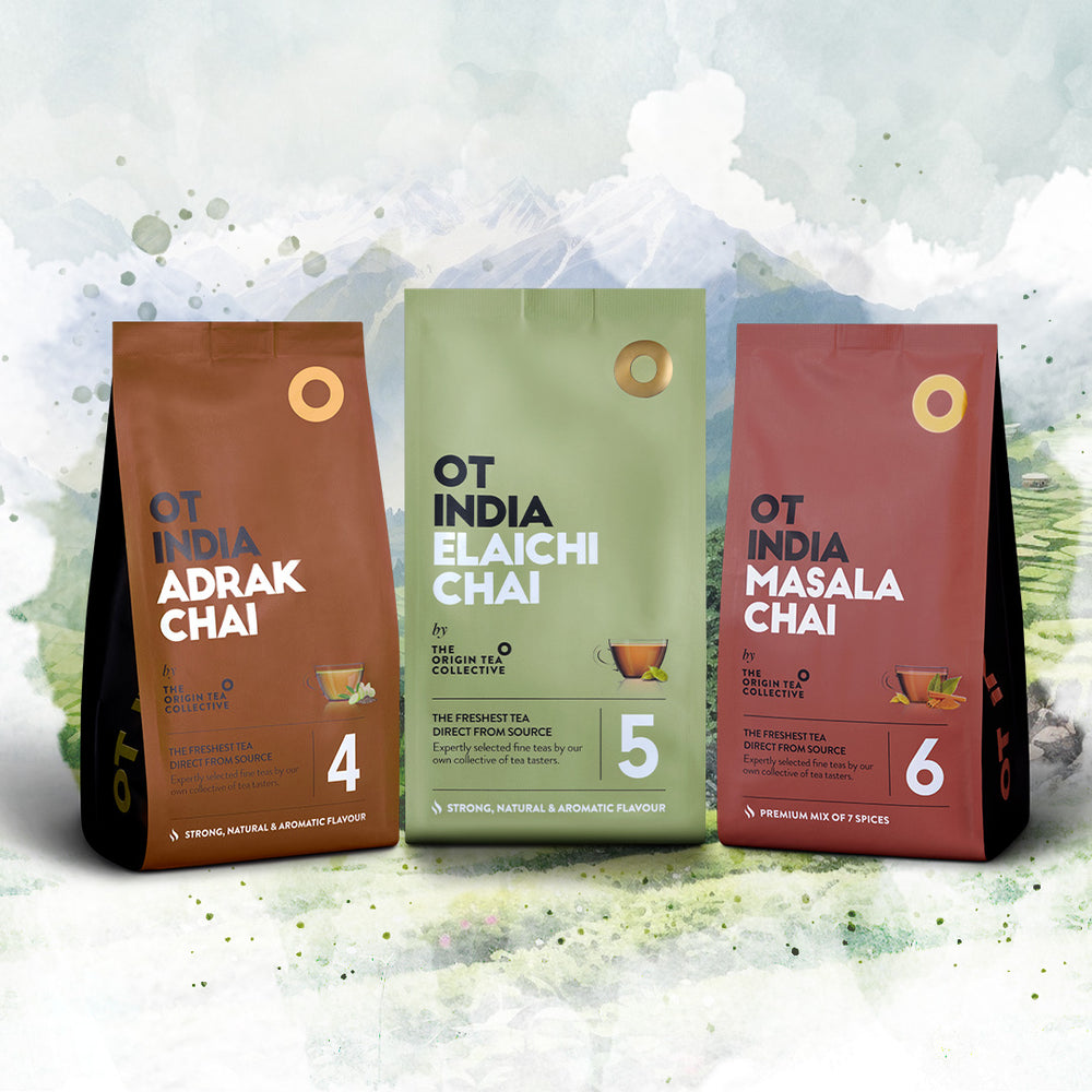Spicy Affair - Pack of 3